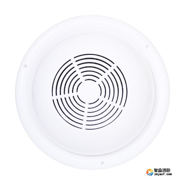 新疆海灣WY-XD5-5明裝式音箱