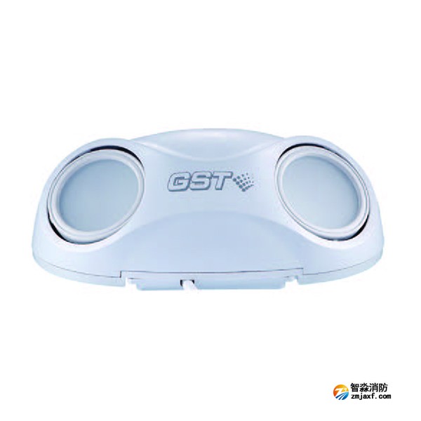 新疆海灣HW-ZFJC-E3W-N660/E6W-N661集中電源集中控制型消防應(yīng)急照明燈具