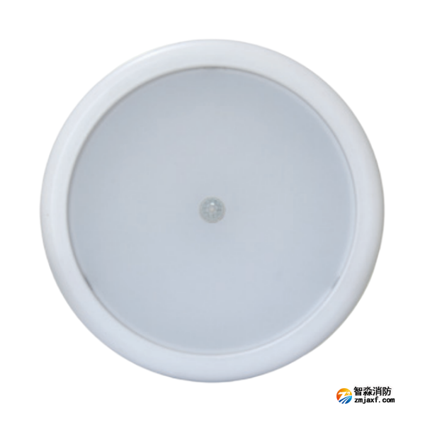 新疆海灣HW-ZFJC-E6W-N656HW集中電源集中控制型消防應(yīng)急照明燈具