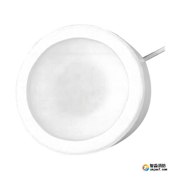 新疆海灣HW-ZFJC-E3W-YN650C集中電源集中控制型消防應(yīng)急照明燈具